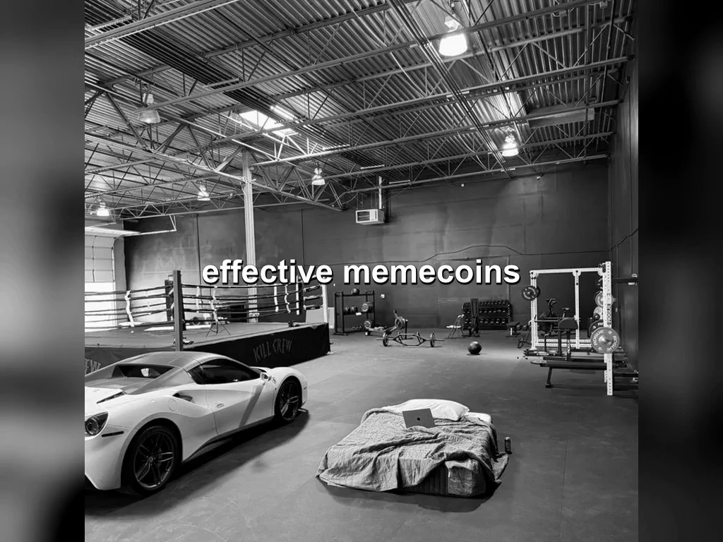 effective memecoins visual montage